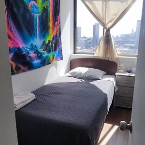 Departamento Parque O'Higgins